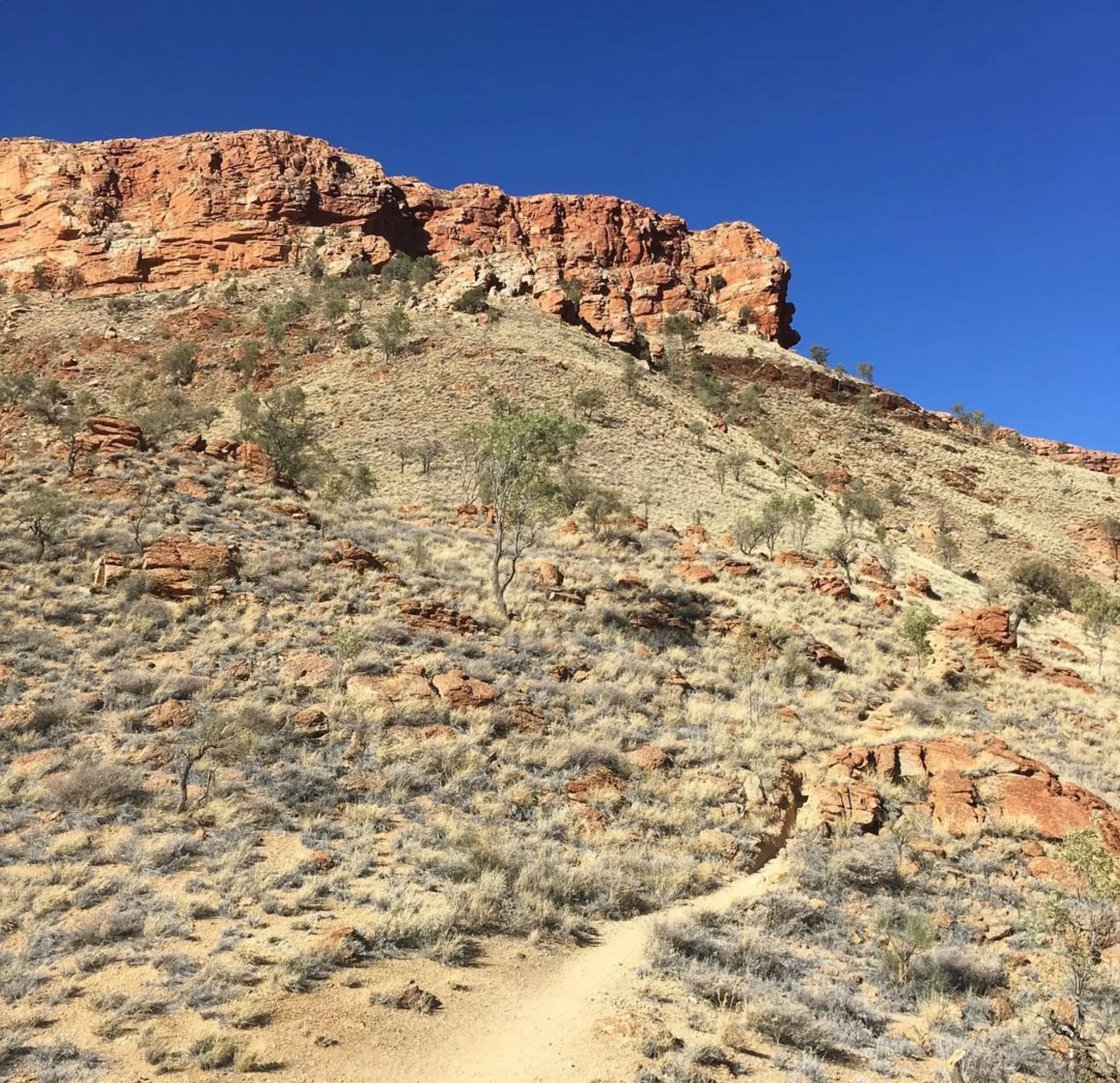 Alice Springs Desert Park