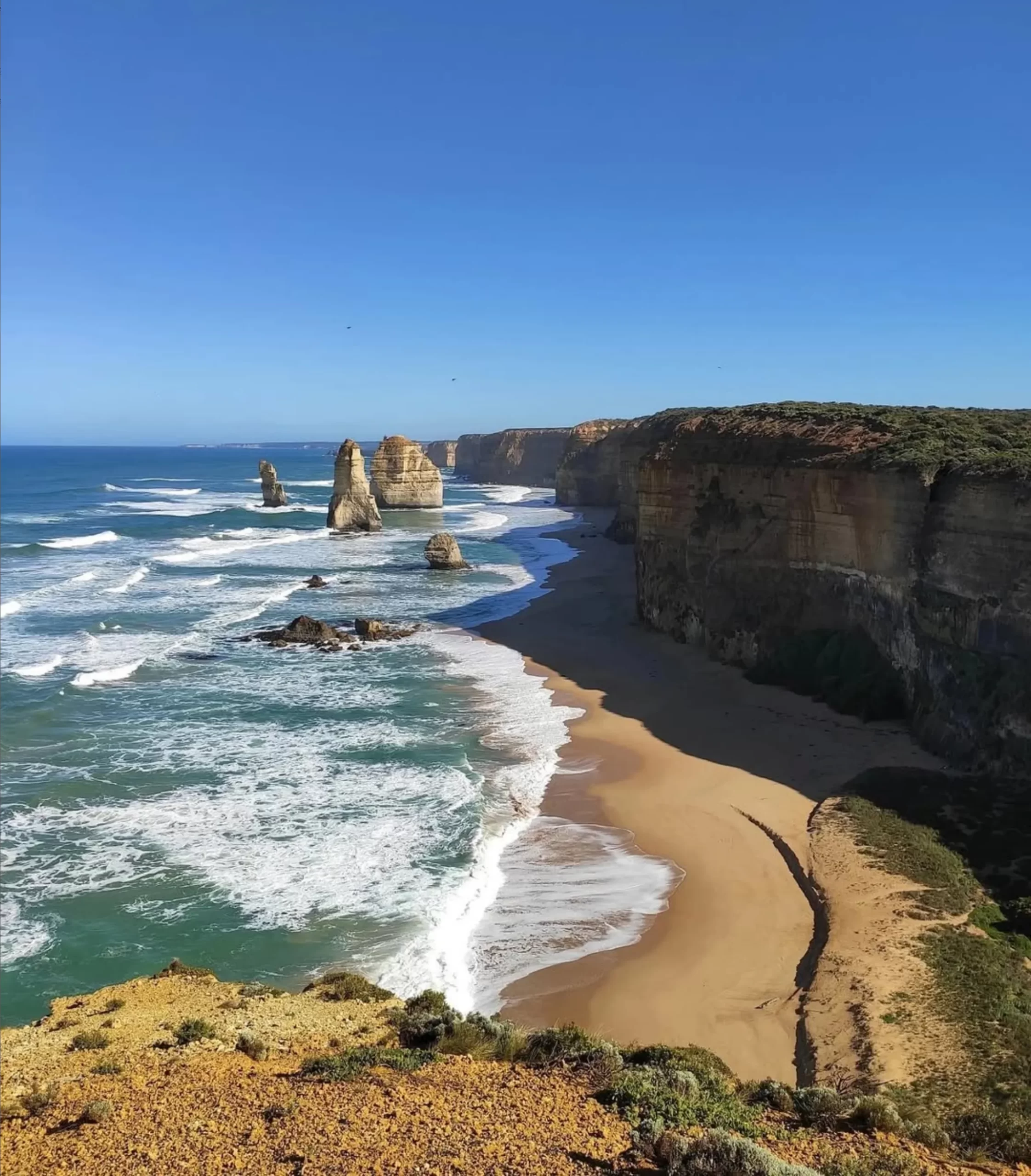 Great Ocean Road day tours