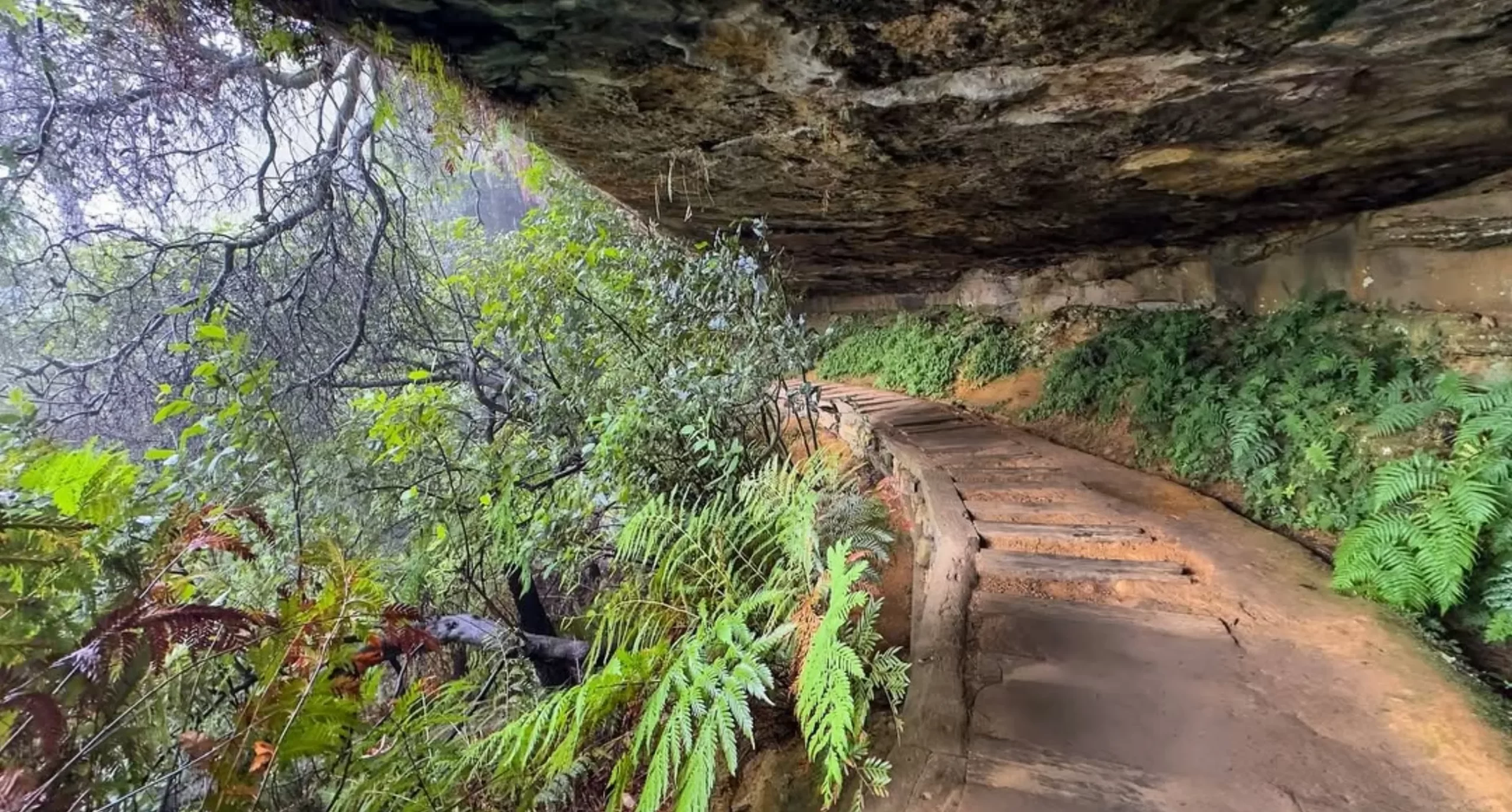 hidden waterfalls, Blue Mountains