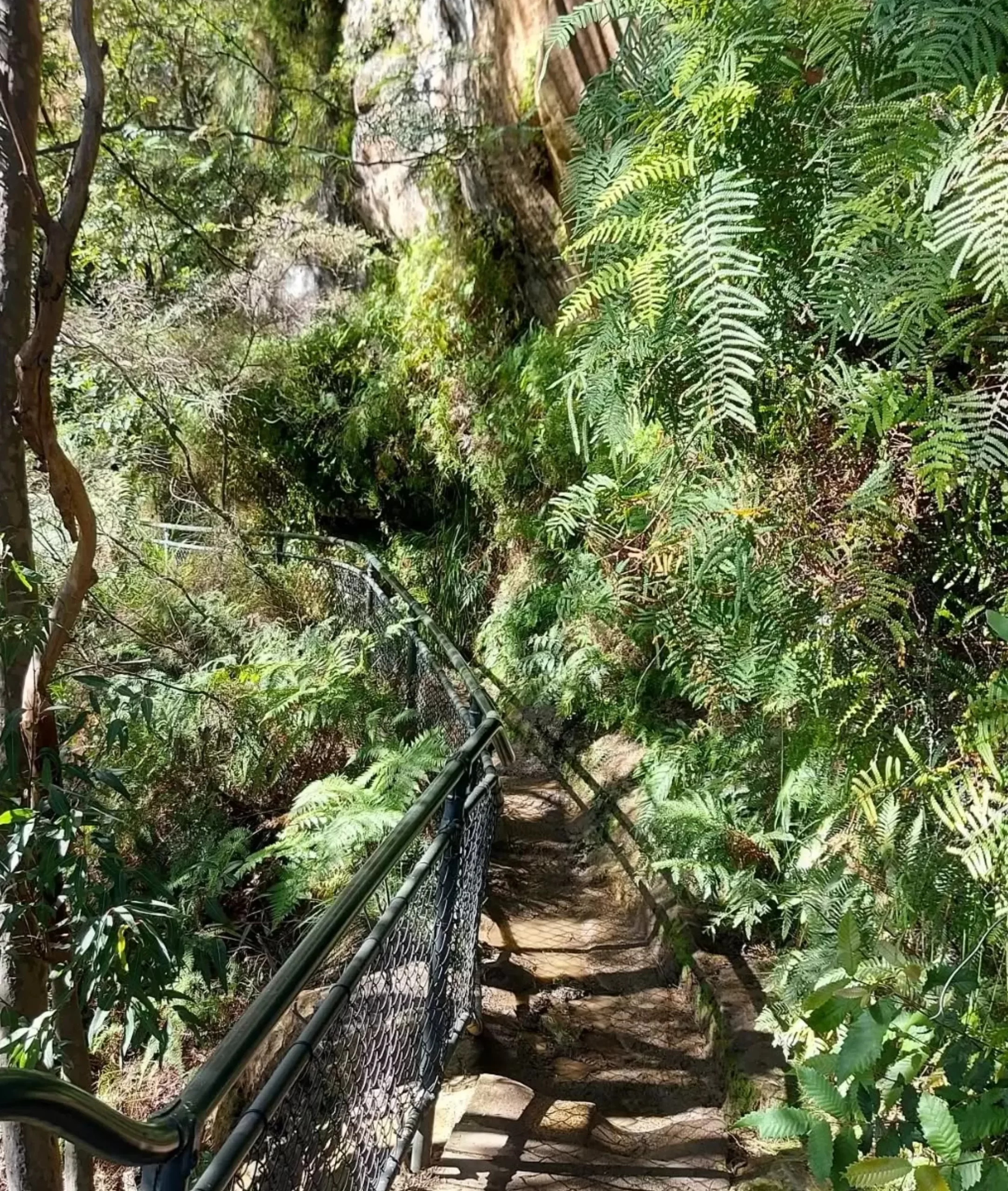 rugged landscape, Blue Mountains